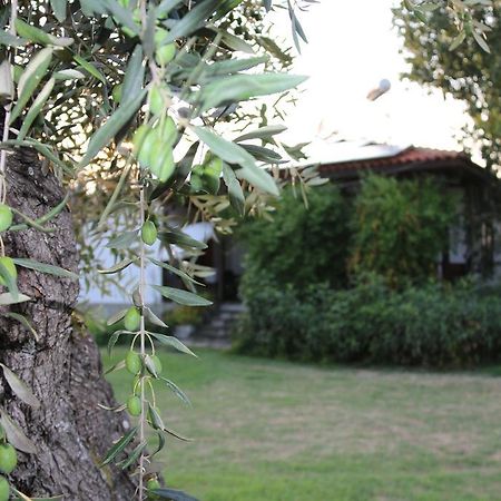 Patroudis House Διαμέρισμα Σκάλα Ραχωνίου Εξωτερικό φωτογραφία