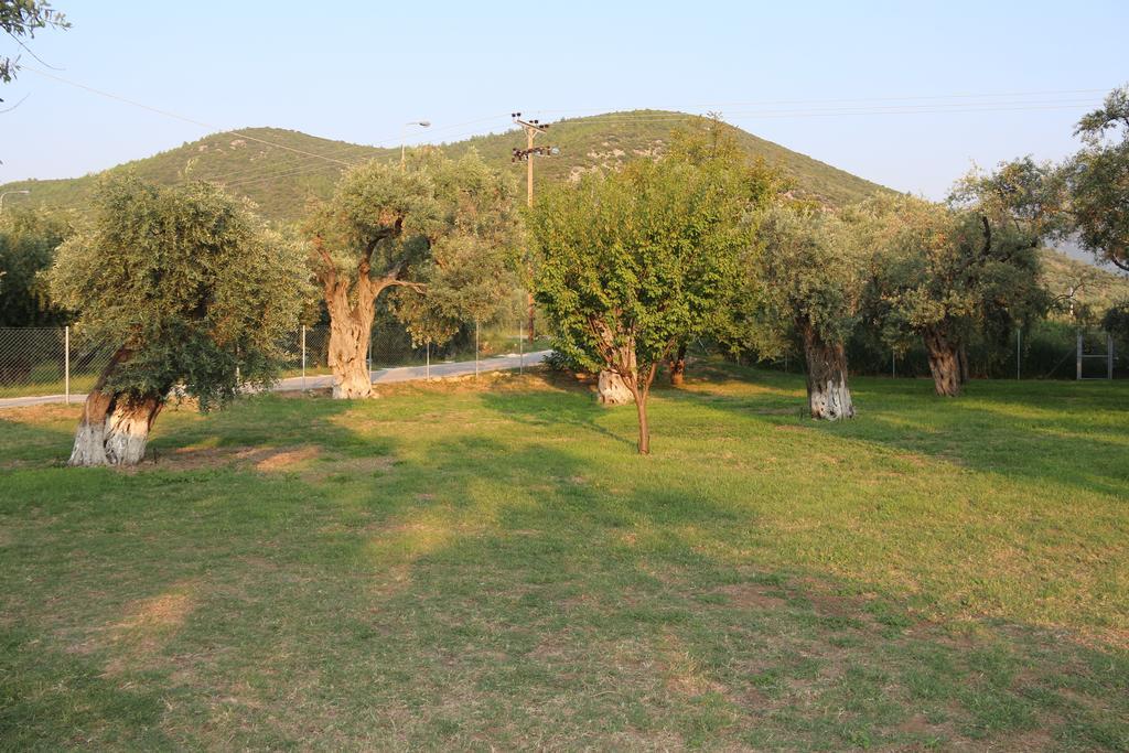 Patroudis House Διαμέρισμα Σκάλα Ραχωνίου Εξωτερικό φωτογραφία