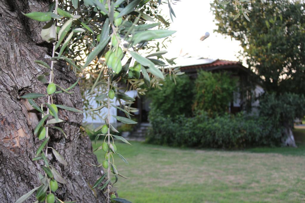 Patroudis House Διαμέρισμα Σκάλα Ραχωνίου Εξωτερικό φωτογραφία